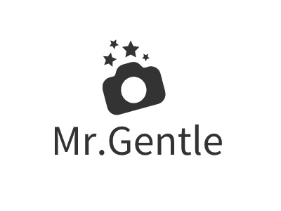 Mr.GentleAI生成PPT