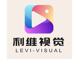 利维视觉logo标志PPT模板