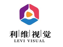 利维视觉logo标志PPT模板