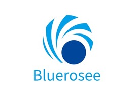 Bluerosee门店AI生成PPT