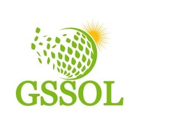 GSSOL企业标志PPT模板