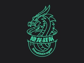 隐龙战队