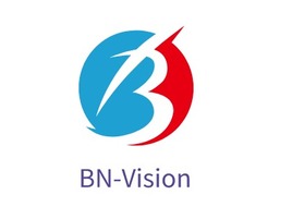 BN-Vision