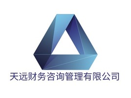 天远财务咨询管理有限公司公司AI生成PPT