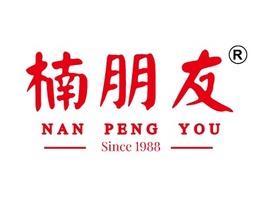  NAN  PENG  YOUlogo标志PPT模板