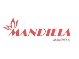 MANDIELA店铺标志PPT模板