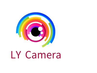 LY Camera公司AI生成PPT