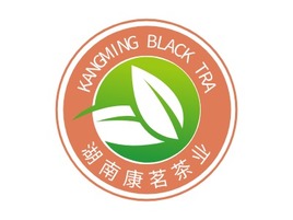 KANGMING BLACK TRAAI生成PPT