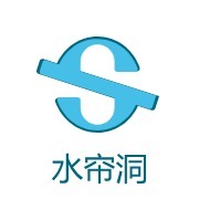 水帘洞logo标志PPT模板