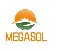 MEGASOL企业标志PPT模板