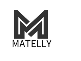 MATELLY公司AI生成PPT