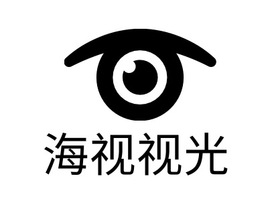 海视视光门店logo标志PPT模板