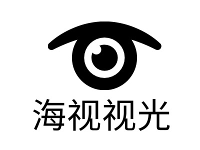 海视视光门店logo标志PPT模板