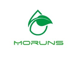 Moruns企业标志PPT模板