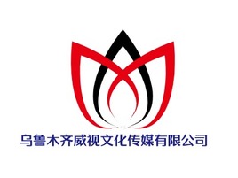 乌鲁木齐威视文化传媒有限公司logo标志PPT模板