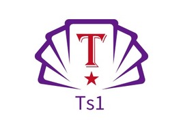 Ts1logo标志PPT模板