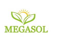 MEGASOL企业标志PPT模板