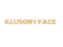 ILLUSORy  FACE店铺标志PPT模板