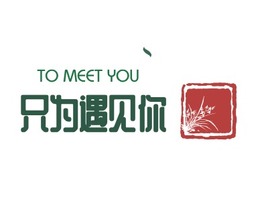 TO MEET YOU店铺logo头像PPT模板