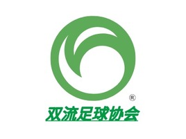 双流足球协会logo标志PPT模板