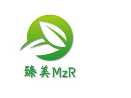 臻美MzR企业标志PPT模板