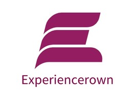 Experiencerown店铺标志PPT模板