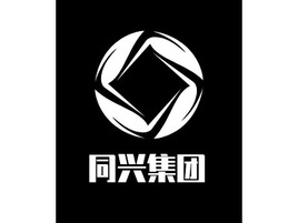 同兴集团金融公司AI生成PPT