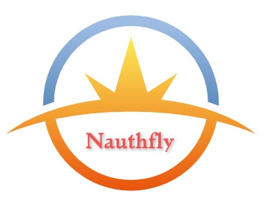 Nauthfly企业标志PPT模板