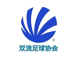 双流足球协会logo标志PPT模板