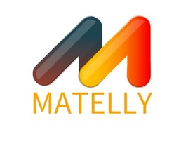 MATELLY公司AI生成PPT