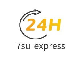 7su express企业标志PPT模板