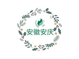 安徽安庆logo标志PPT模板