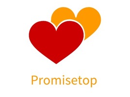 Promisetop门店AI生成PPT