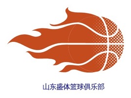 山东盛体篮球俱乐部logo标志PPT模板