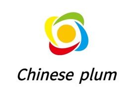 Chinese plum门店AI生成PPT