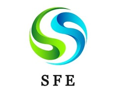 SFE公司AI生成PPT