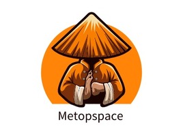 Metopspace公司AI生成PPT