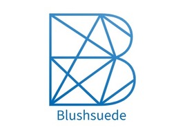 Blushsuedelogo标志PPT模板