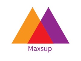 Maxsup店铺logo头像PPT模板