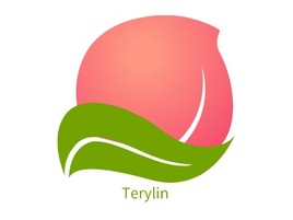 Terylin店铺标志PPT模板