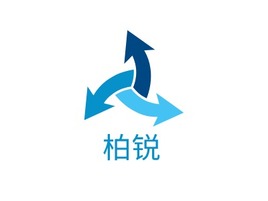 柏锐企业标志PPT模板