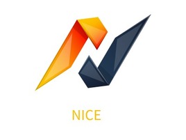 NICE企业标志PPT模板