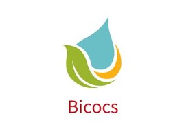 Bicocs企业标志PPT模板