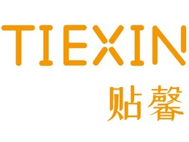 TIEXIN店铺标志PPT模板