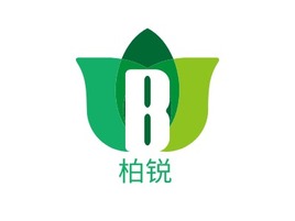 柏锐企业标志PPT模板