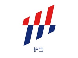 护宝logo标志PPT模板