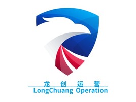       龙    创    运    营     LongChuang Operation