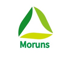 Moruns企业标志PPT模板