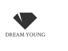 DREAM YOUNG店铺标志PPT模板